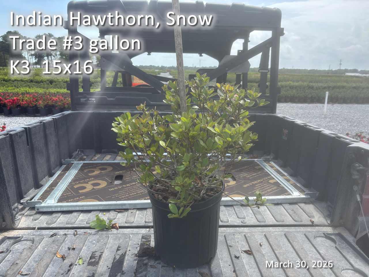 gallery/ihs3t k3 mar30.jpg